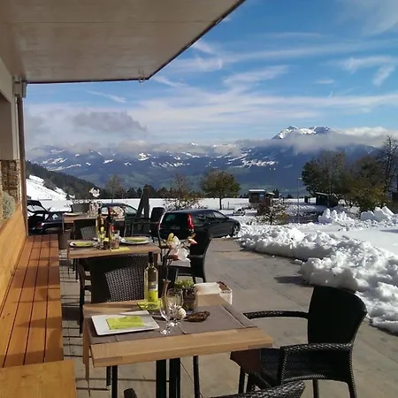 Alpenhotel Boedele - Luxus 03 Apartment Hergatz